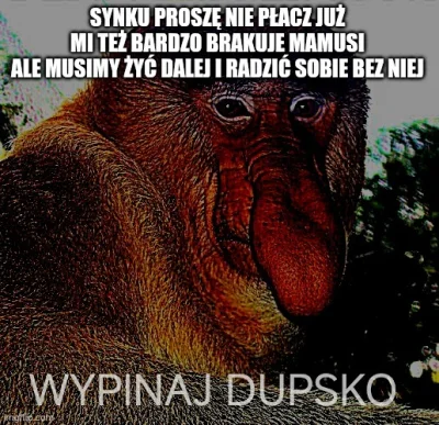 HeteroseksualnyWlamywacz - #konkursnanajbardziejgownianymemznosaczem