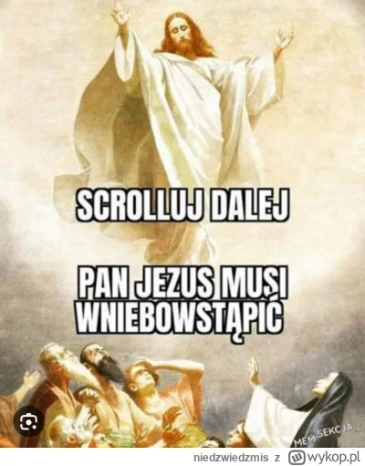 niedzwiedzmis - #heheszki #humorobrazkowy