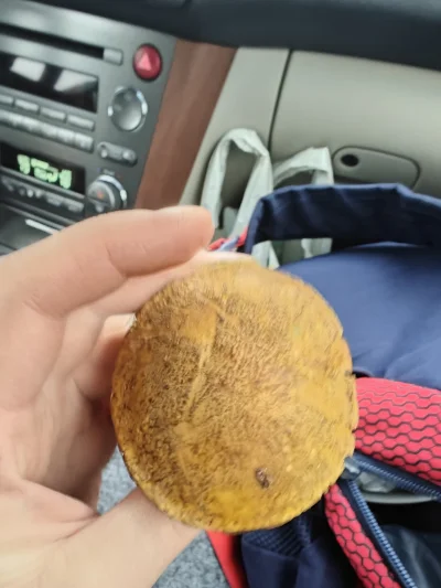 dominik098 - @dominik098: