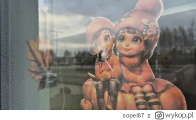 sopel87 - @blessedbyswiezonka, @QuickCharger plastikowe kulki takie rzeczy robią?