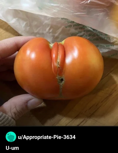 cheeseandonion - #pomidorboners #zzr