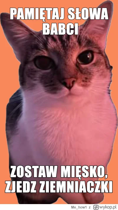 Me_how1 - Oddaj kotleta prawdziwym mięsożercom i dbaj o planetę #weganizm #heheszki