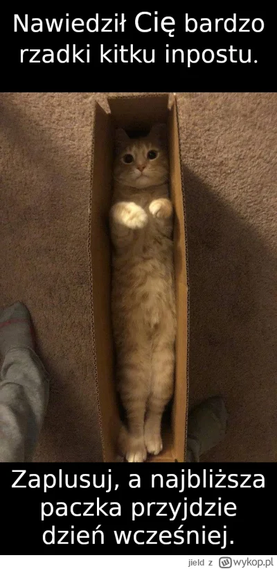 jield - #wykopaka #inpost #kurier #smiesznypiesek #smiesznekotki