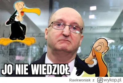 Raekwoniak - #bekazpisu #heheszki