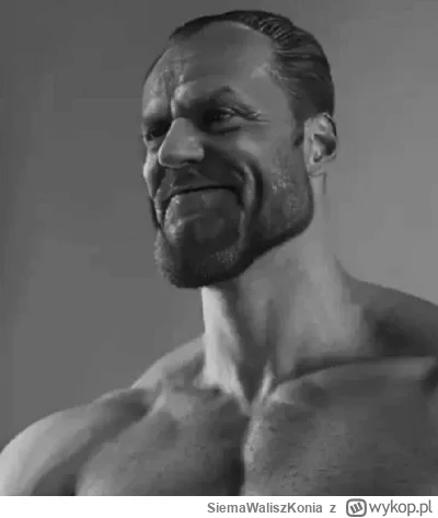 SiemaWaliszKonia - Brawo Donald!!! Najlepszy premier wyjaśnił kibola