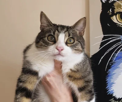 paula_pila - @Kinda xDD