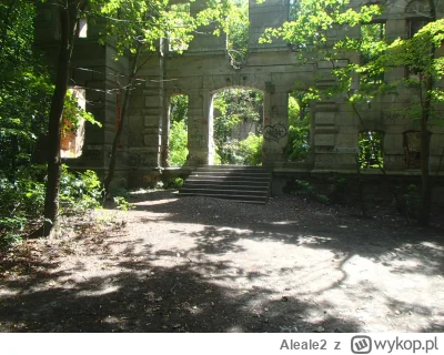Aleale2 - #ruiny #urbex #turystyka ruiny pałacu Moesa w Wierbce
