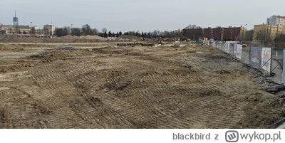 blackbird - człowiek mieszka niezbyt daleko od stadionu i sie dowiaduje nagle na spac...