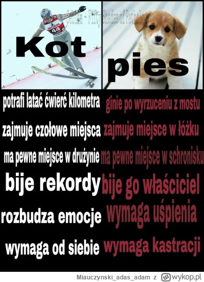 Miauczynskiadasadam - @CzlowiekMagnetowid: