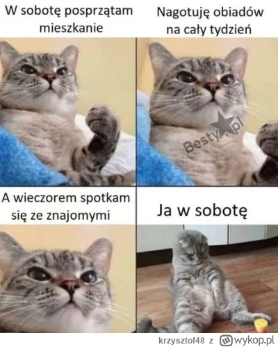 krzysztof48 - @Prokurator_Bluewaffles  ukradłem