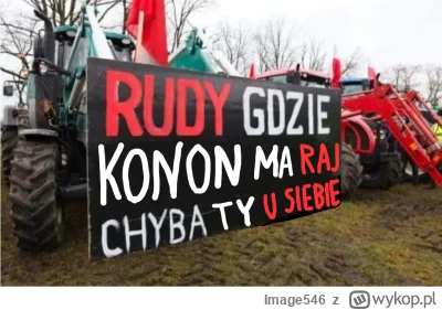 Image546 - #kononowicz #szkolna17