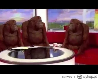 convoy - #f1 where deszcz?