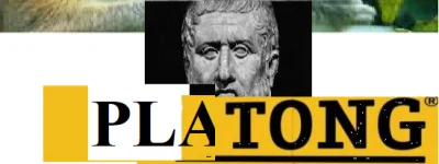 pawello321 - #konkursnanajbardziejgownianymemznosaczem 
Kim jest PLATONG i na czym po...