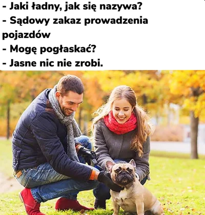 Trzesidzida - A może zamiast samego zakazu prowadzenia, za przestępstwo drogowe należ...