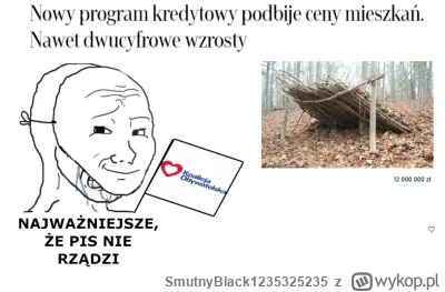 SmutnyBlack1235325235 - #polityka #nieruchomosci #heheszki #humorobrazkowy #konfedera...