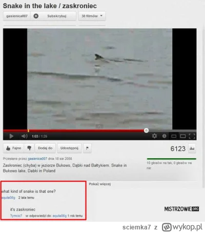 sciemka7 - @Green81: ( ͡° ͜ʖ ͡°)