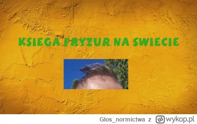 Glos_normictwa - Łobaben, niedługo nowa książka tego typu 

#sebcel #frajerzyzmlm