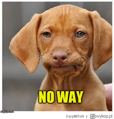 EarpMIToR - Trzymajcie się w tej Stalowej Woli