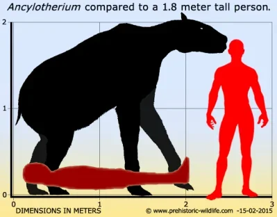 Zblizeniowy - @Loskamilos1: I ponownie Saddam Hussein dla lepszego oglądu
