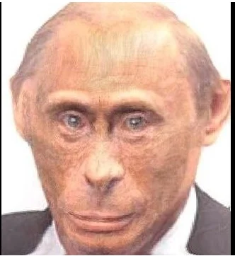 inkill - @PrawilnyStevie: rosaj to niedźwiedź, ale sam putin małpa( ͡° ͜ʖ ͡°)