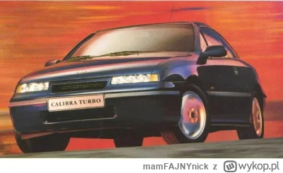 mamFAJNYnick - calibra