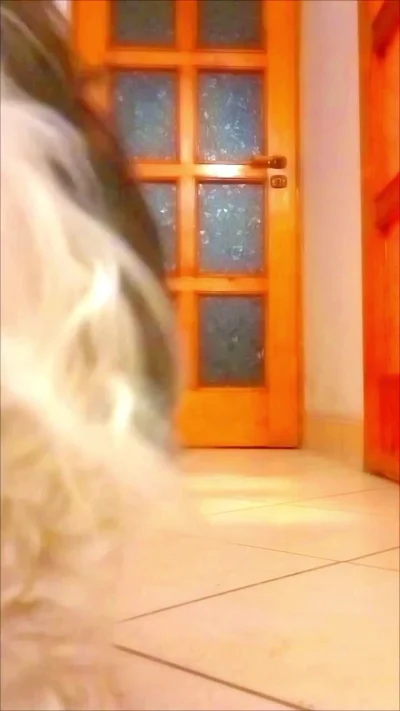 HorrorystycznyDemonPagona - Ehhhh, RIP Władziu. Byłeś cudownym chomiczkiem. Jak wyląd...