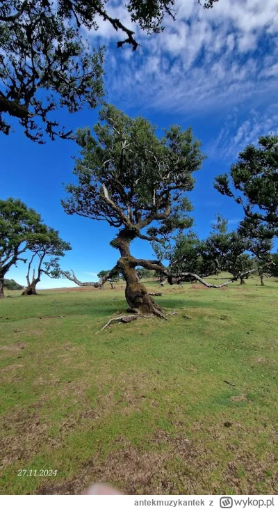 antekmuzykantek - Byłem równo rok temu.