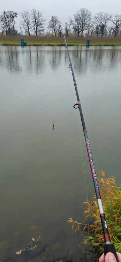 Hrjk - Super, w deszczu lepiej biorą 

#wedkarstwo