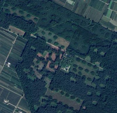 Manaka - @dave8: Uwaga, poradnik rozpoznawania żyzności polskich lasów z kosmosu. 

J...