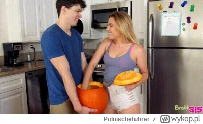 Polnischefuhrer - @Puchacz93: