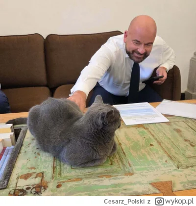 Cesarz_Polski - #kotekwrocek #wroclaw