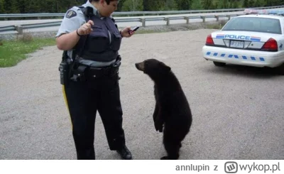 annlupin - @wfyokyga: