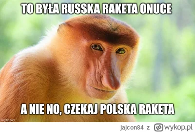 jajcon84 - #heheszki #chumorobrazkowy #lewackalogika #polskiepato