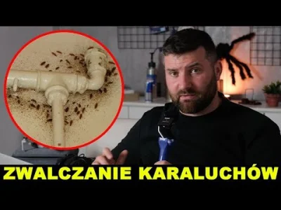 PotwornyKogut - ciekawe, że rybiki nie obrzydzają większości ludzi, w odróżnieniu od ...