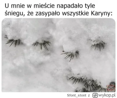 Sfont_stont - #heheszki #humorobrazkowy