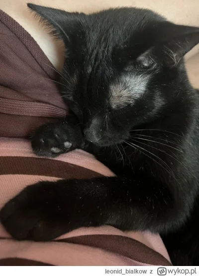 leonidbialkow - @CorvusFrugilagus: cze dla latajoncego