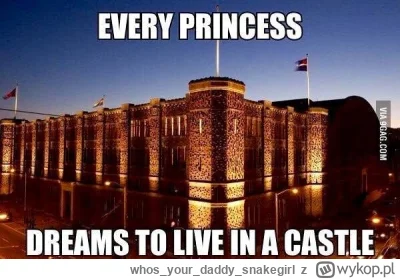 whosyourdaddy_snakegirl - @sylwke3100