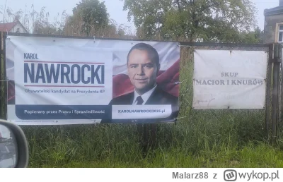 Malarz88 - #wybory