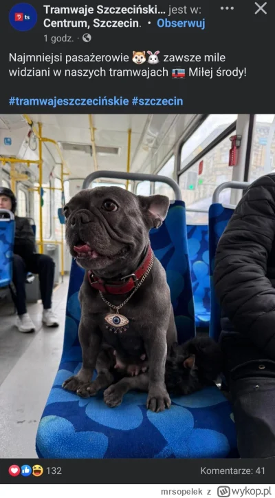 mrsopelek - Niezła odklejka. Sporządź regulamin w którym określasz przewóz psów, a pó...