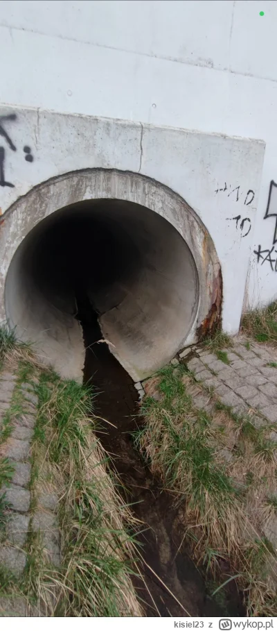 kisiel23 - Nawiązując do wpisu z marca
Wszedłem do rury ( ͡° ͜ʖ ͡°)

Ogólnie faktyczn...