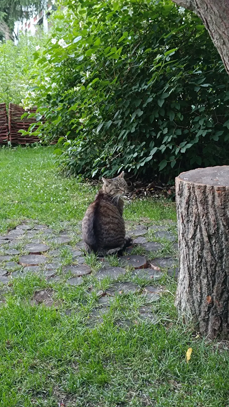 WLADCA_MALP - #zdjeciatarzana #pokazkota