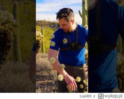 Leel00 - @NaczelnyAgnostyk: Z grubej rury...wypróbuj najpierw cholle