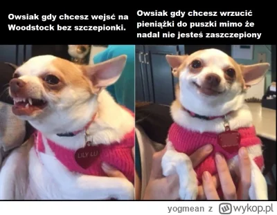 yogmean - #wosp #takaprawda
Zamiast na płuca po covidowe lepiej na powikłania poszcze...