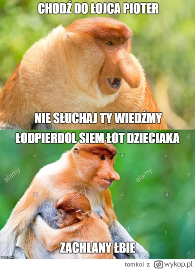 tomkol - #konkursnanajbardziejgownianymemznosaczem