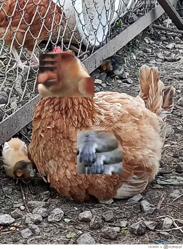 DEX666 - @rtone:  Mein reakcionen na te informacionen