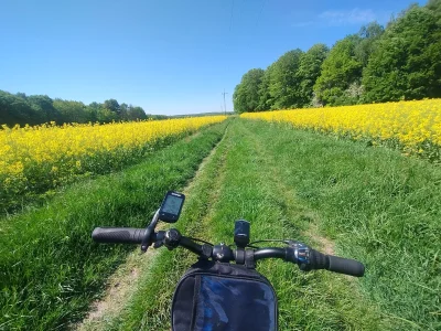 sylwke3100 - Letnia pogoda, obcowanie z naturą i rower to najpiękniejsza sprawą na ma...