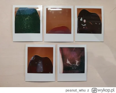 peanut_whu - To zdjęcia z Polaroid Go pochodzące z dwóch różnych wkładów (ale sprzeda...