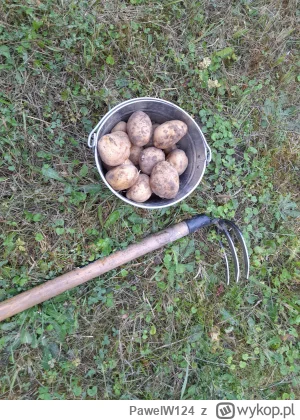 PawelW124 - #przegryw 

Ciężka praca daje plony,to ma sens.
Ziemią karmi,ziemią odda ...