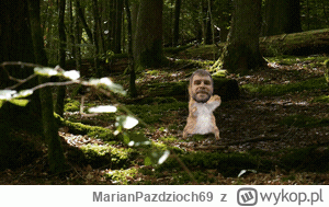 MarianPazdzioch69 - Rudy po utracie kanału przyjedzie do Lasu Zwierzynieckiego żeby z...