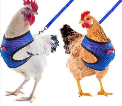 new-object - Szelki, by ci rosół nie s--------ł. Tanio sprzedam. #heheszki